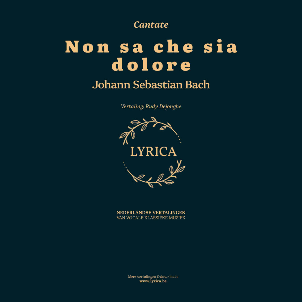 Non sa che sia dolore BWV 209 (J.S. Bach)
